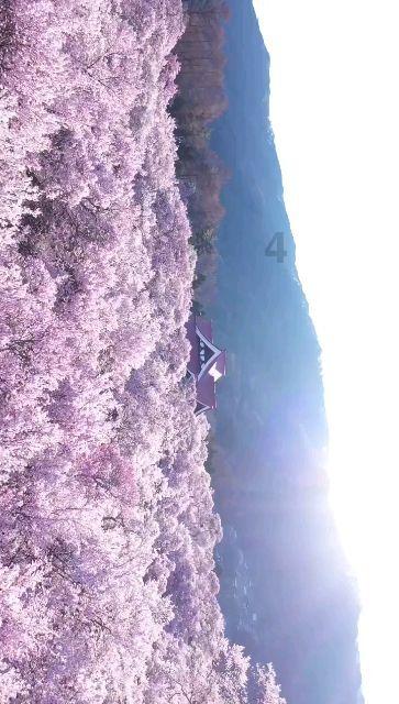 火拼萌萌消
