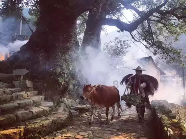 火柴人寻宝之路