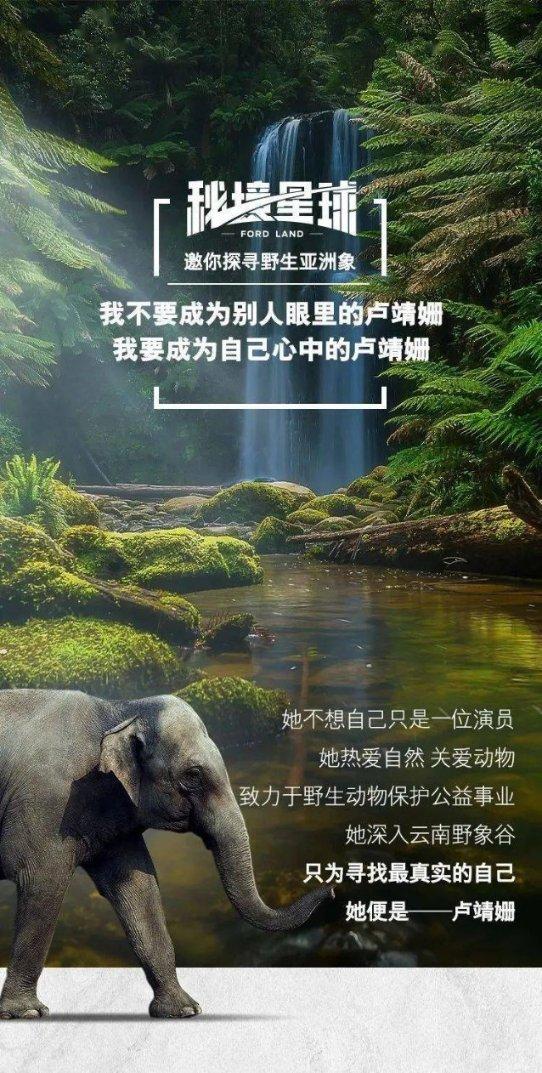 男子的名字