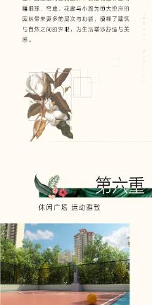 繁花乱目，我心怅惘