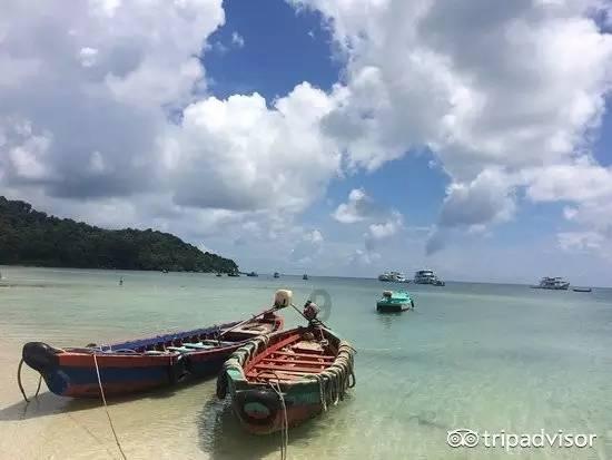 世上最悲伤的遗言,“别解剖我,骨灰撒大海”,死后百年仍未实现