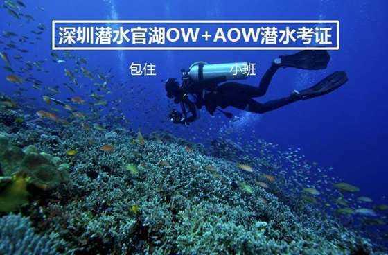 汉王纷争