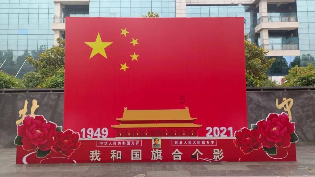 雨后盛放
